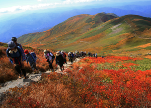 月山の紅葉