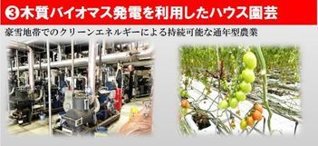 木質バイオマス発電を利用したハウス園芸